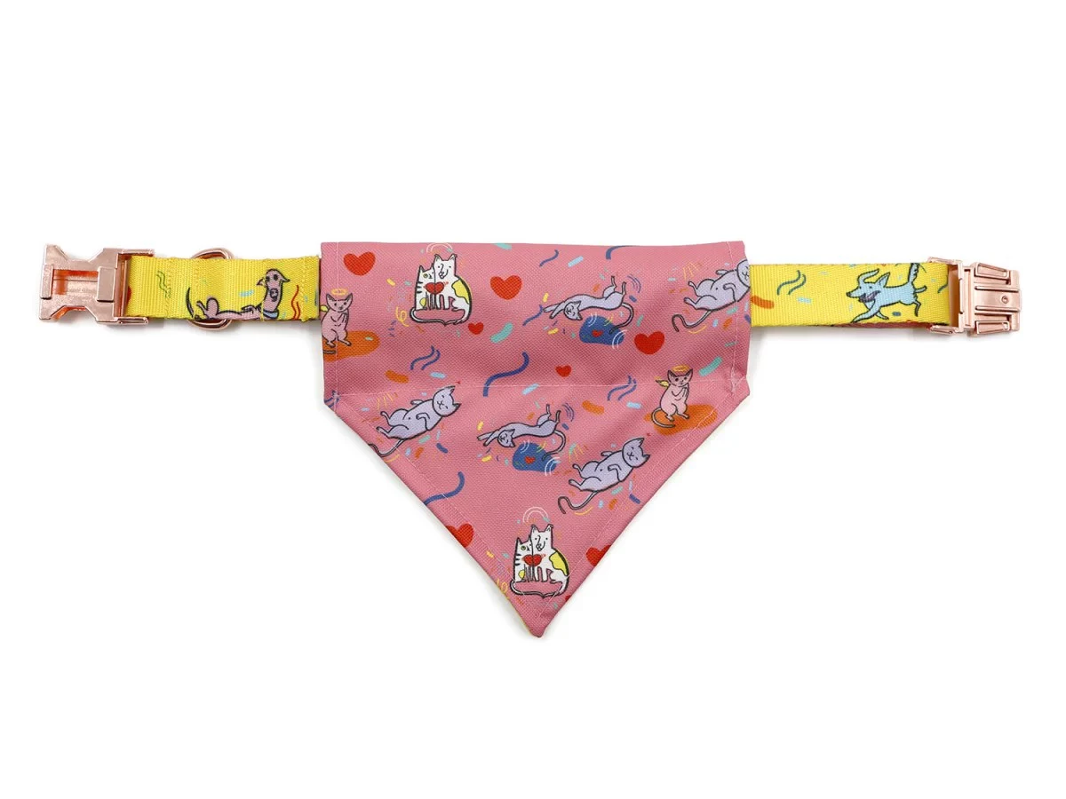 Bandanas pour chiens